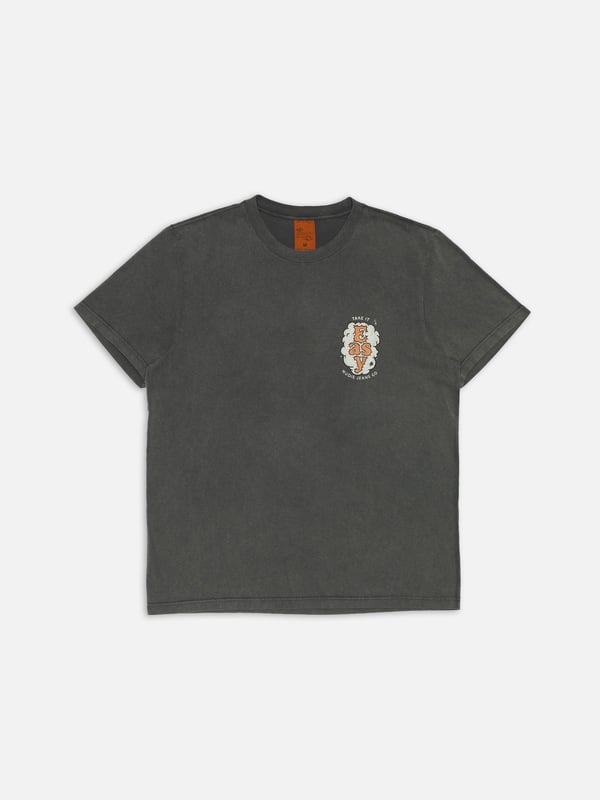 Roy T-Shirt Easy Cloud Antracite